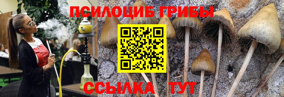 Псилоцибиновые грибы прущие грибы Зеленокумск